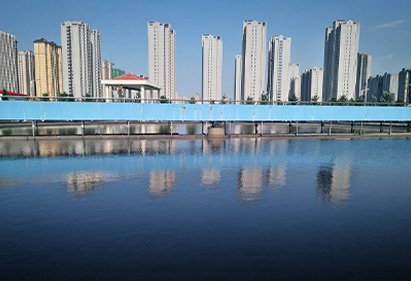去除有機(jī)污染物（COD）技術(shù)