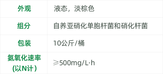 生物促進(jìn)硝化菌